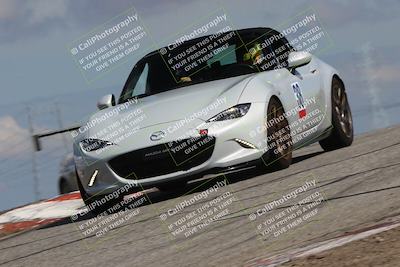 media/Mar-31-2024-Speed Ventures (Sun) [[a3b2bf813d]]/Purple/Session 2 (Grapevine)/